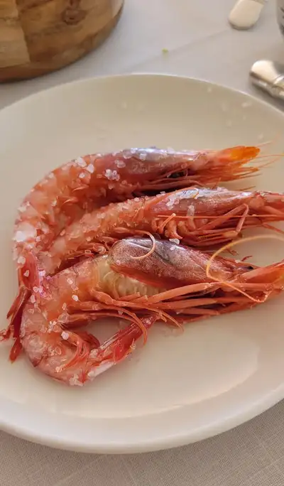 ALMADRABA
